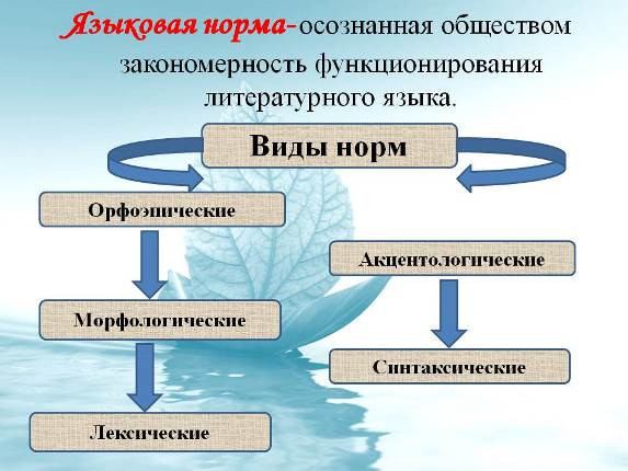 Языковая норма. Ее роль в становлении и функционировании литературного языка 1 – Студенты России