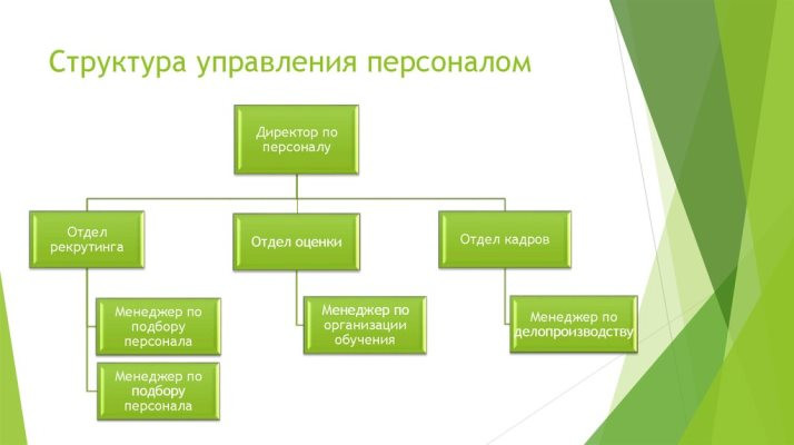 Структура управления персоналом организации 1 – Студенты России