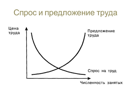 Спрос и предложение на рынке труда 1 – Студенты России