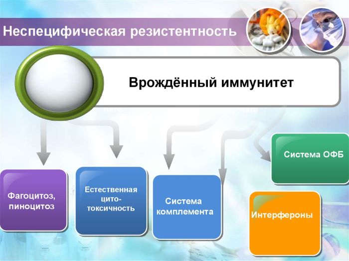 Врожденный неспецифический иммунитет: интерфероны в системе гуморальных факторов 1 – Студенты России